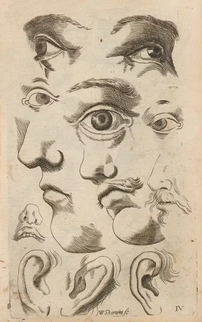 Plate IV: Artist study of facial features by William Salmon, 1685 — digital art print download