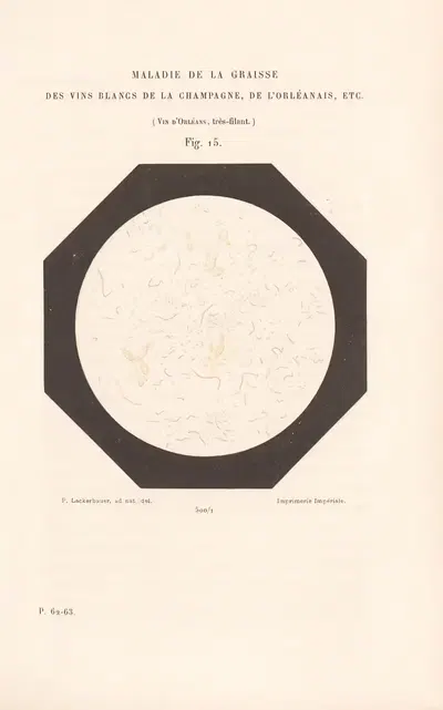 Этюды о вине, пл. 10 by Луи Пастер, 1866 — digital art print download