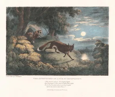 The Adventures of a Fox by Moonlight by Thomas Mann Baynes, 1836 — digital art print download