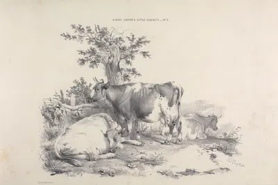 Thomas Sydney Cooper's cattle subjects Pl.02 by Томас Сидни Купер — digital art print download
