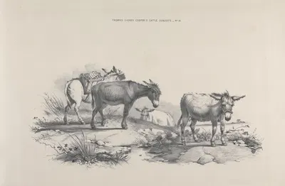 Thomas Sydney Cooper's cattle subjects Pl.10 by Томас Сидни Купер — digital art print download