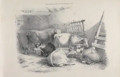 Thomas Sydney Cooper's cattle subjects Pl.13 by Томас Сидни Купер — digital art print download