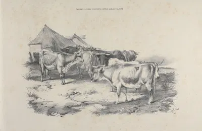 Thomas Sydney Cooper's cattle subjects Pl.16 by Томас Сидни Купер — digital art print download