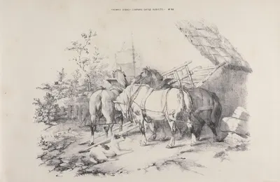 Thomas Sydney Cooper's cattle subjects Pl.20 by Томас Сидни Купер — digital art print download