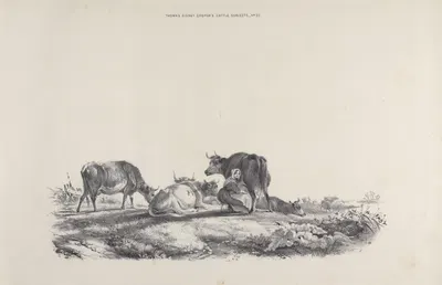 Thomas Sydney Cooper's cattle subjects Pl.23 by Томас Сидни Купер — digital art print download