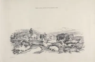 Thomas Sydney Cooper's cattle subjects Pl.27 by Томас Сидни Купер — digital art print download