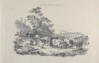 Thomas Sydney Cooper's cattle subjects Pl.28 by Томас Сидни Купер — digital art print download