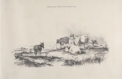 Thomas Sydney Cooper's cattle subjects Pl.29 by Томас Сидни Купер — digital art print download