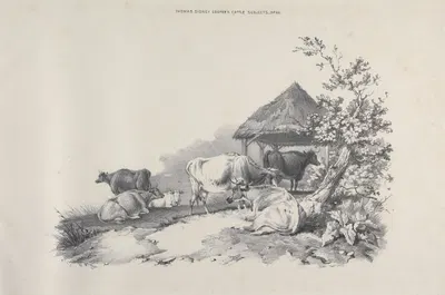 Thomas Sydney Cooper's cattle subjects Pl.30 by Томас Сидни Купер — digital art print download