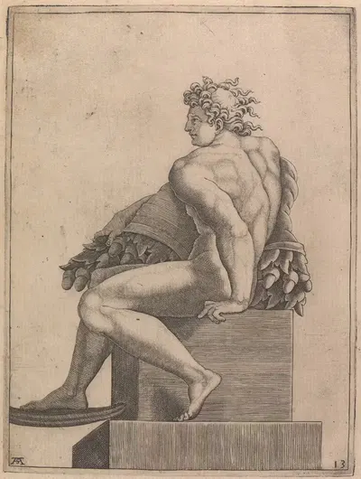 Мужская обнаженная натура с панели 'Пьяность Ноя' by Адамо Скультори, 1550-1585 — digital art print download