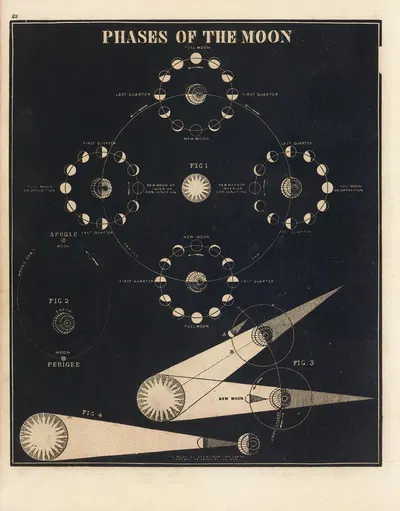 Phases of the Moon by Asa Smith, 1850 — digital art print download