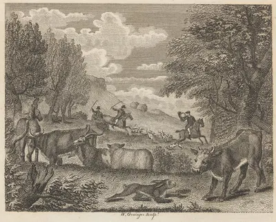 Басня Л. Заяц и много друзей by Джон Уоттон, 1793 — digital art print download