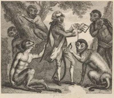 Басня XIV. Обезьяна, которая видела мир by Джон Уоттон, 1793 — digital art print download