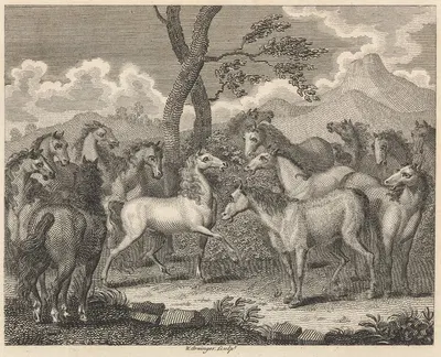 Басня XLIII. Совет лошадей by Джон Уоттон, 1793 — digital art print download