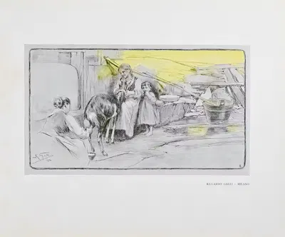 Novissima Pl.38 by Edoardo de Fonseca (Editor), 1901-1905 — digital art print download
