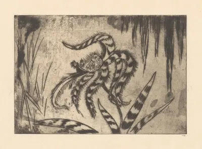 Orchidee by Janus de Winter, 1892 - 1951 — digital art print download