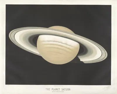 The planet Saturn by Étienne Léopold Trouvelot, 1881-1882 — digital art print download