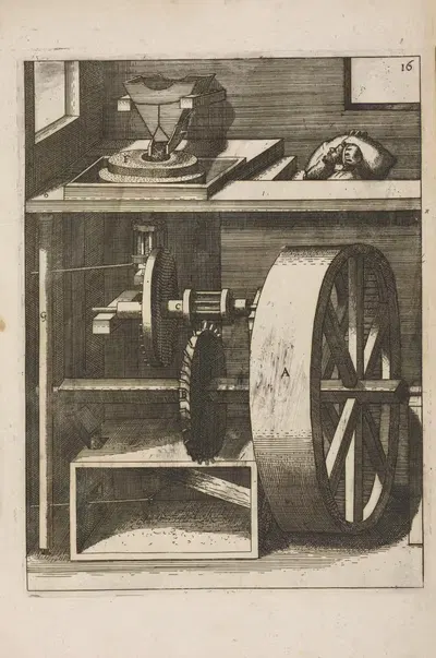 Рис. XVI. Патеомилос, фрументарий by Георг Андреас Бёклер, 1662 — digital art print download