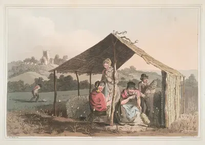 Поле репейника, Плита 23 by Джордж Уокер, 1814 — digital art print download