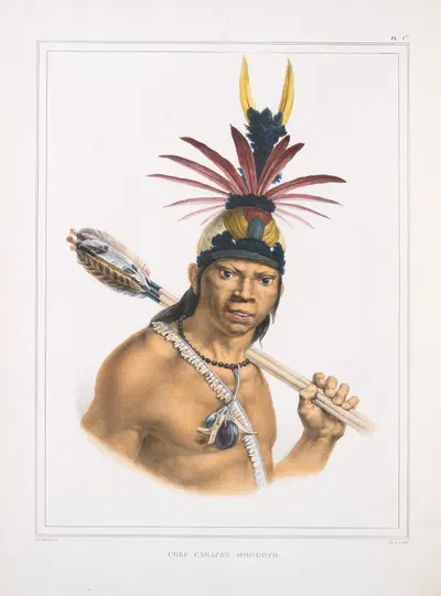 Шеф Камакан Монгойо by Жан Батист Дебре, 1834 - 1839 — digital art print download