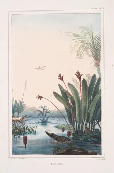 Эликония by Жан Батист Дебре, 1834 - 1839 — digital art print download