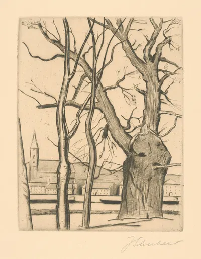 Братислава by Юлиус Шуберт, 1888 — digital art print download