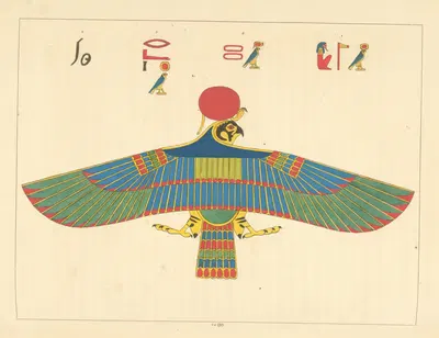 Ястреб, живой эмблемой Фра by Леон-Жан-Жозеф Дюбуа, 1823 - 1825 — digital art print download