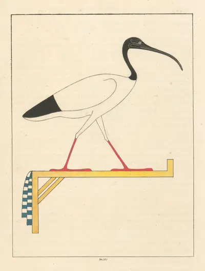 Ибис, живой эмблема Тота, второго Гермеса. by Леон-Жан-Жозеф Дюбуа, 1823 - 1825 — digital art print download