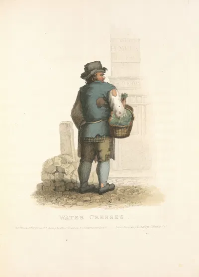 Водяные кресс-салаты by Томас Лорд Базби, 1820 — digital art print download