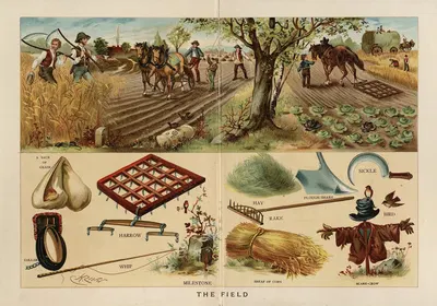 The Field by Frederick Warne & Co — digital art print download
