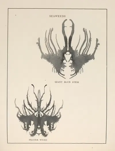 Gobolinks or shadow-pictures for young and old Pl.71 by Ruth McEnery Stuart, 1896 — digital art print download
