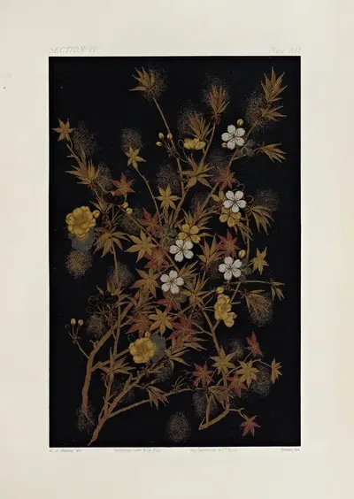 The ornamental arts of Japan Pl.052 by George Ashdown Audsley, 1882 — digital art print download
