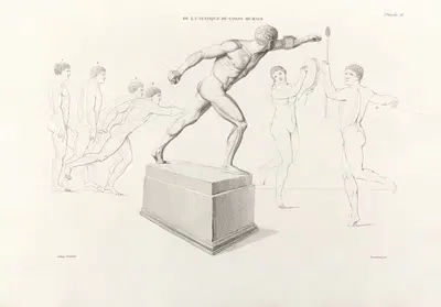 Anatomie du gladiateur combattant Pl.19 by Jean-Galbert Salvage, 1812 — digital art print download