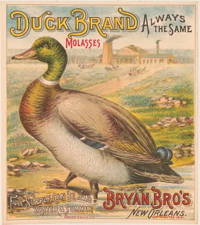 Duck brand molasses. Bryan Bro's New Orleans by Koeckert & Walle, 1891 — digital art print download