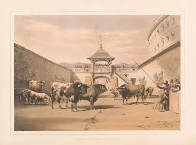 Быки в загоне на площади by Уильям Генри Лейк Прайс, 1860-1870 — digital art print download