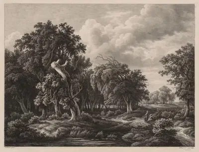 Группы различных растений, нарисованные с натуры; № 7 by Евгений Блери, 1855 — digital art print download