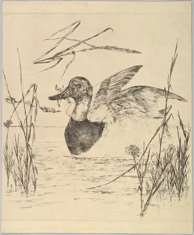 Duck by Félix Bracquemond, 1850–1914 — digital art print download