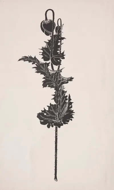 Изучение цветов by Гарри Фенн, 1860–1911 — digital art print download