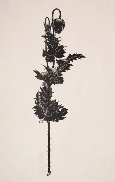 Изучение цветов by Гарри Фенн, 1860–1911 — digital art print download