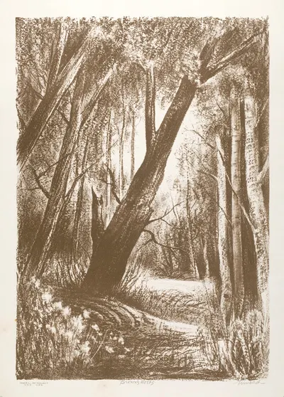 Леса Брауна by Рассел Т. Лимбах, 1935-1943 — digital art print download