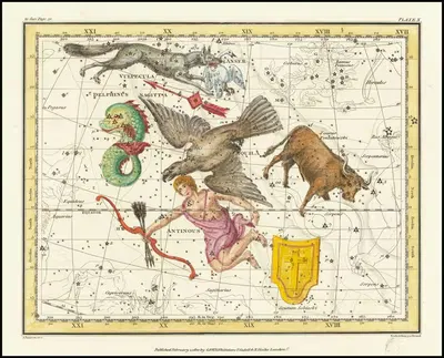 Орел, Антиноус, Щит, Телец, Стрелец, Лисица, Гусь – Дельфин by Александр Джеймисон, 1822 — digital art print download