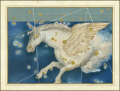 Пегас by Иоганн Байер, 1603 — digital art print download