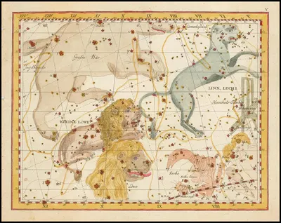 Linx, Luchs & Kleine Löwe by Johann Elert Bode, 1805 — digital art print download