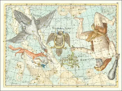 Hercules, Cygnus… Coelum Stellatum by Johann Elert Bode, 1801 — digital art print download