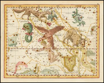 Delphin, Fuchs, Pfeil, Gans, Adler, Antinous, Das Sobieskische Schild and Der Königliche Stier von Poniatowski by Johann…