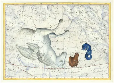 Pegasus, Equleus, Delphinus by Johann Elert Bode, 1801 — digital art print download