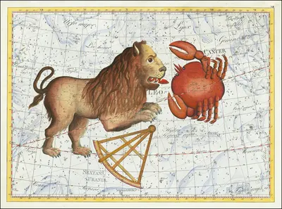 Leo, Sextanus Uraniae, Cancer… Coelum Stellatum by Johann Elert Bode, 1801 — digital art print download