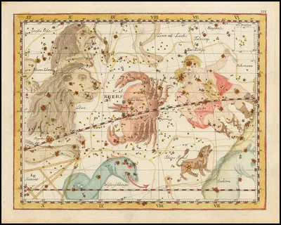 Krebs by Johann Elert Bode, 1805 — digital art print download
