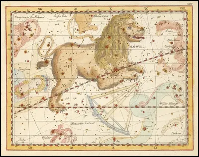 Leo by Johann Elert Bode, 1805 — digital art print download