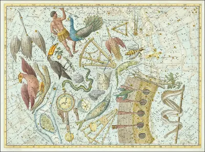 Phoenix… Coelum Stellatum by Johann Elert Bode, 1801 — digital art print download